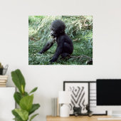 Wildlife Set - Baby Gorilla Close-up Poster (Thuiskantoor)