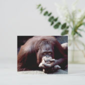 Wildlife Set - Primaten 10 Briefkaart (Staand voorkant)