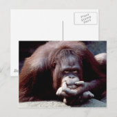 Wildlife Set - Primaten 10 Briefkaart (Voorkant / Achterkant)