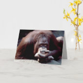 Wildlife Set - Primaten 10 Kaart (Gele Bloem)