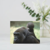 Wildlife Set - Primaten 11 Briefkaart (Staand voorkant)