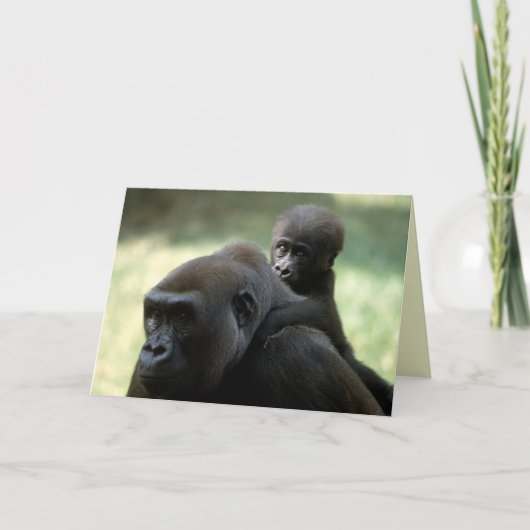 Wildlife Set - Primaten 11 Kaart (Voorkant)