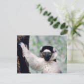 Wildlife Set - Primaten 12 Briefkaart (Staand voorkant)