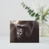 Wildlife Set - Primaten 13 Briefkaart (Staand voorkant)