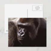 Wildlife Set - Primaten 13 Briefkaart (Voorkant / Achterkant)