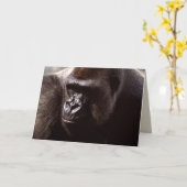 Wildlife Set - Primaten 13 Kaart (Gele Bloem)