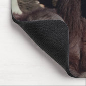 Wildlife Set - Primaten 1 Muismat (Hoek)