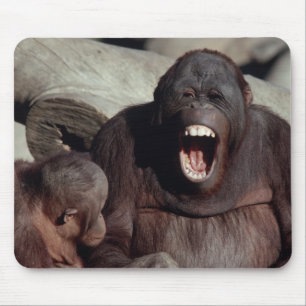 Wildlife Set - Primaten 1 Muismat