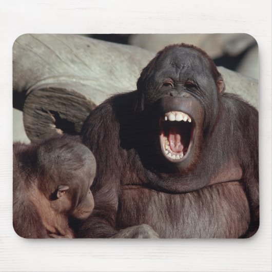 Wildlife Set - Primaten 1 Muismat (Voorkant)