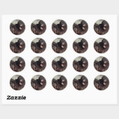 Wildlife Set - Primaten 1 Ronde Sticker (Vel)