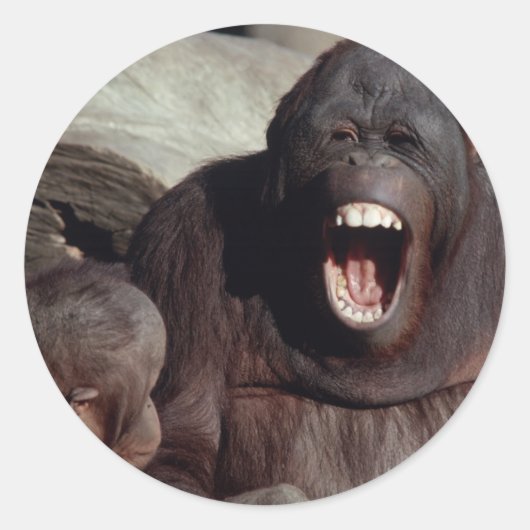 Wildlife Set - Primaten 1 Ronde Sticker (Voorkant)