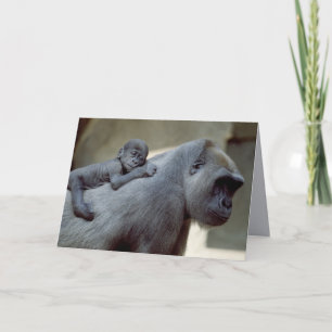 Wildlife Set - Primaten 3 Kaart
