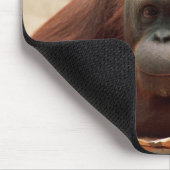 Wildlife Set - Primaten 7 Muismat (Hoek)