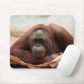 Wildlife Set - Primaten 7 Muismat (Met muis)