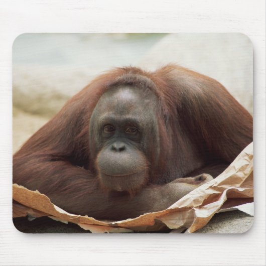 Wildlife Set - Primaten 7 Muismat (Voorkant)
