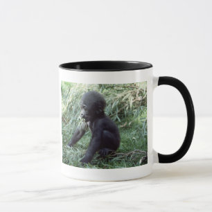 Wildlife set - Primates 8 Mok
