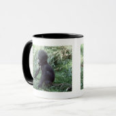 Wildlife set - Primates 8 Mok (Voorkant links)