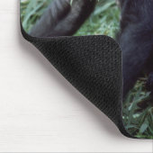 Wildlife set - Primates 8 Muismat (Hoek)