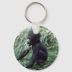 Wildlife set - Primates 8 Sleutelhanger