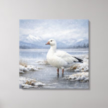 Wildlife Snow Goose Winter Snowfall