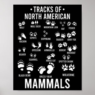 Wildlife Tracks Van Noord-Amerikaanse Zoogdieren - Poster