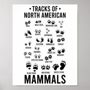 Wildlife Tracks Van Noord-Amerikaanse Zoogdieren - Poster