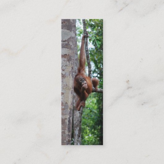 Wildlife Tree Hugger Mini Bladwijzer Visitekaartje (Voorkant)