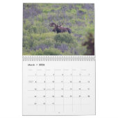 Wildlife van Alaska Kalender (Mar 2026)