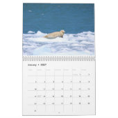 Wildlife van Alaska Kalender (Jan 2027)