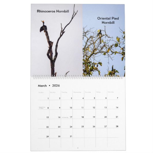 Wildlife van Borneo Kalender (Mar 2026)