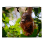 Wildlife van Borneo Kalender (Hoes)