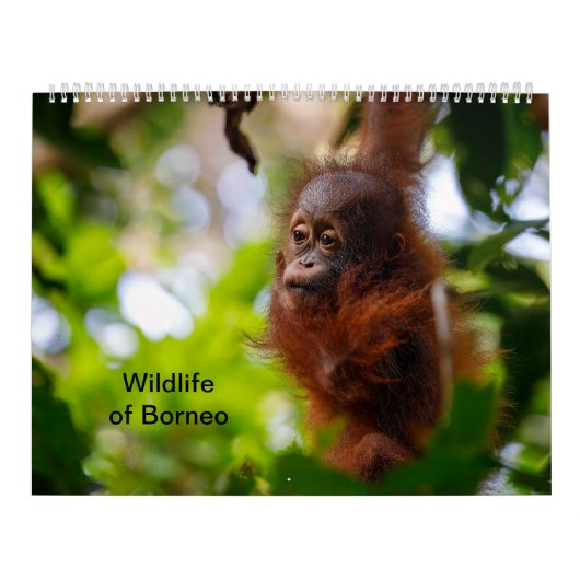 Wildlife van Borneo Kalender (Hoes)