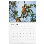 Wildlife van Borneo Kalender (Jan 2026)