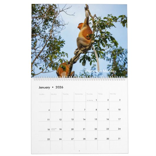 Wildlife van Borneo Kalender (Jan 2026)