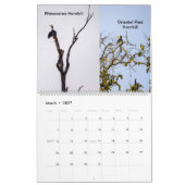 Wildlife van Borneo Kalender (Mar 2027)