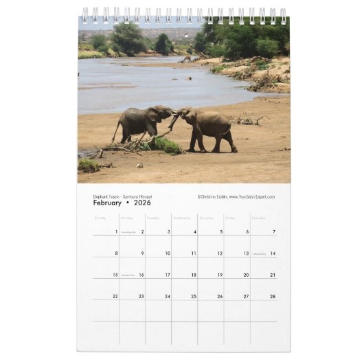 WILDLIFE van Zuid- en Oost-Afrika (één pagina) Kalender (Feb 2026)