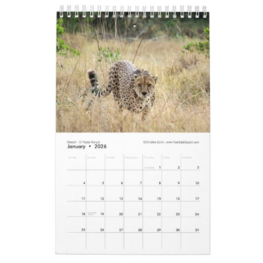WILDLIFE van Zuid- en Oost-Afrika (één pagina) Kalender (Jan 2026)