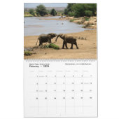 WILDLIFE van Zuid- en Oost-Afrika (twee bladzijden Kalender (Feb 2026)