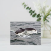 Wildlife Whale Tail Alaska Foto Briefkaart (Staand voorkant)