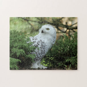 Wildlife White Owl Photo Legpuzzel