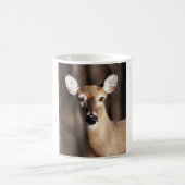 Wildlife Whitetail Deer Doe Portret Koffiemok (Center)