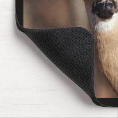 Wildlife Whitetail Deer Doe Portret Muismat (Hoek)