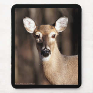 Wildlife Whitetail Deer Doe Portret Muismat