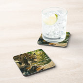 Wildlife Wildcat Animal Leopard Natuur Bier Onderzetter (Rechterzijde)