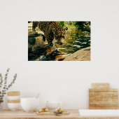 Wildlife Wildcat Animal Leopard Natuur Poster (Keuken)