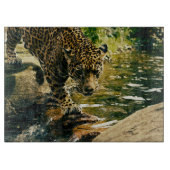 Wildlife Wildcat Animal Leopard Natuur Snijplank (Voorkant)