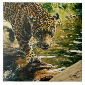 Wildlife Wildcat Animal Leopard Natuur Tegeltje (Voorkant)