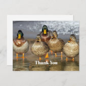 Wildlife Wilde Eenden Foto Bedankt Briefkaart (Voorkant / Achterkant)