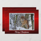 Wildlife Wolf Sneeuw Foto Kerst Flat Feestdagenkaart (Voorkant / Achterkant)