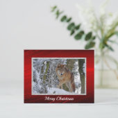 Wildlife Wolf Snow - Kerstmis Briefkaart (Staand voorkant)